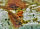 Approche de s&eacute;lection multicolore de Triops longicaudatus