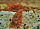 Triops Longicaudatus Multicolore Elevage 50 oeufs