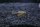 Triops Australiensis Queensland Tadpole Enfoque de cr&iacute;a de camarones